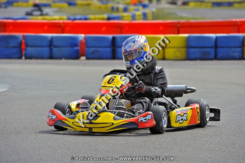 DSC_ (1381).jpg
